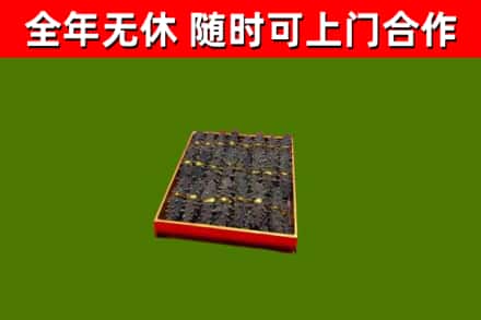 平乡回收海参